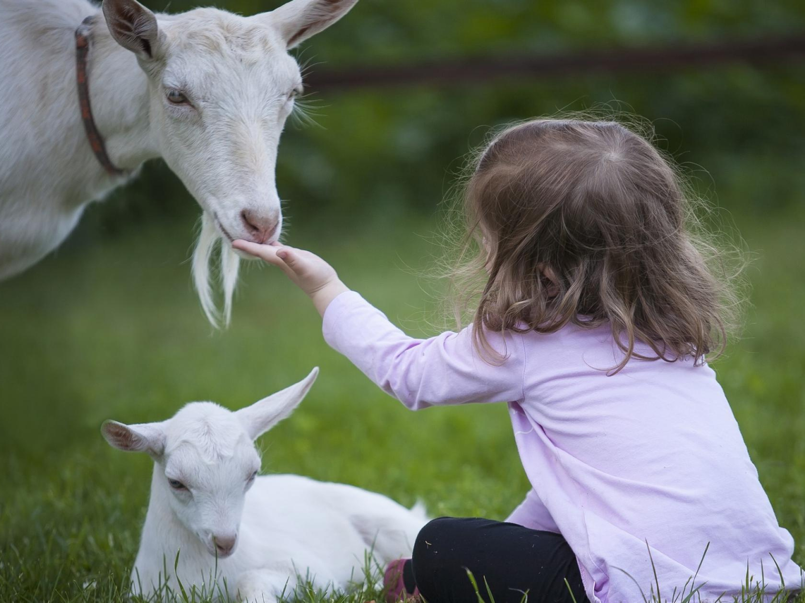 About Our Farmstay